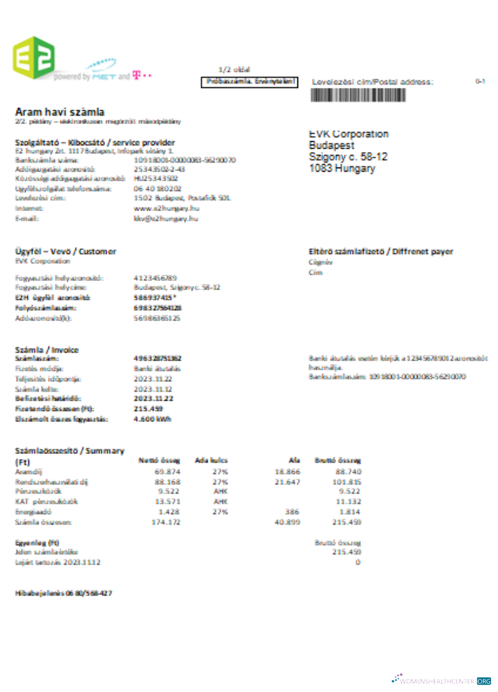 Download E2 utility business bill SCR Photoshop template